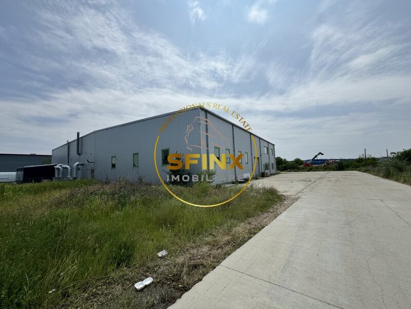 Mogosoaia Hala zona Odai 330 mp - birou 87 mp