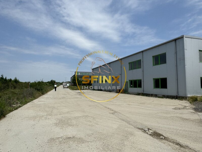 Mogosoaia Hala zona Odai 330 mp - birou 87 mp